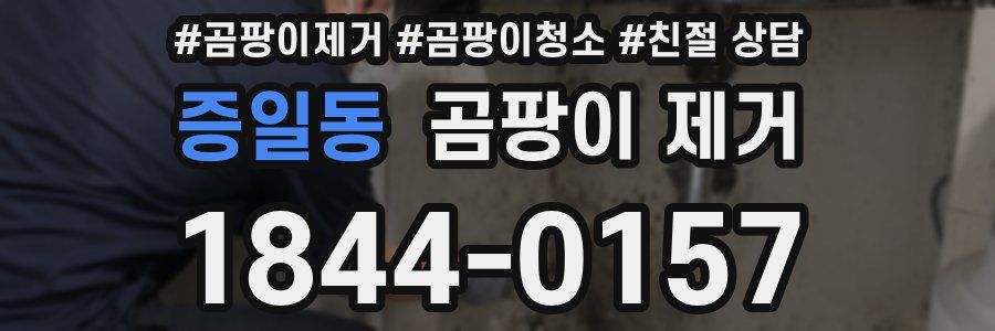 증일동 곰팡이 제거
