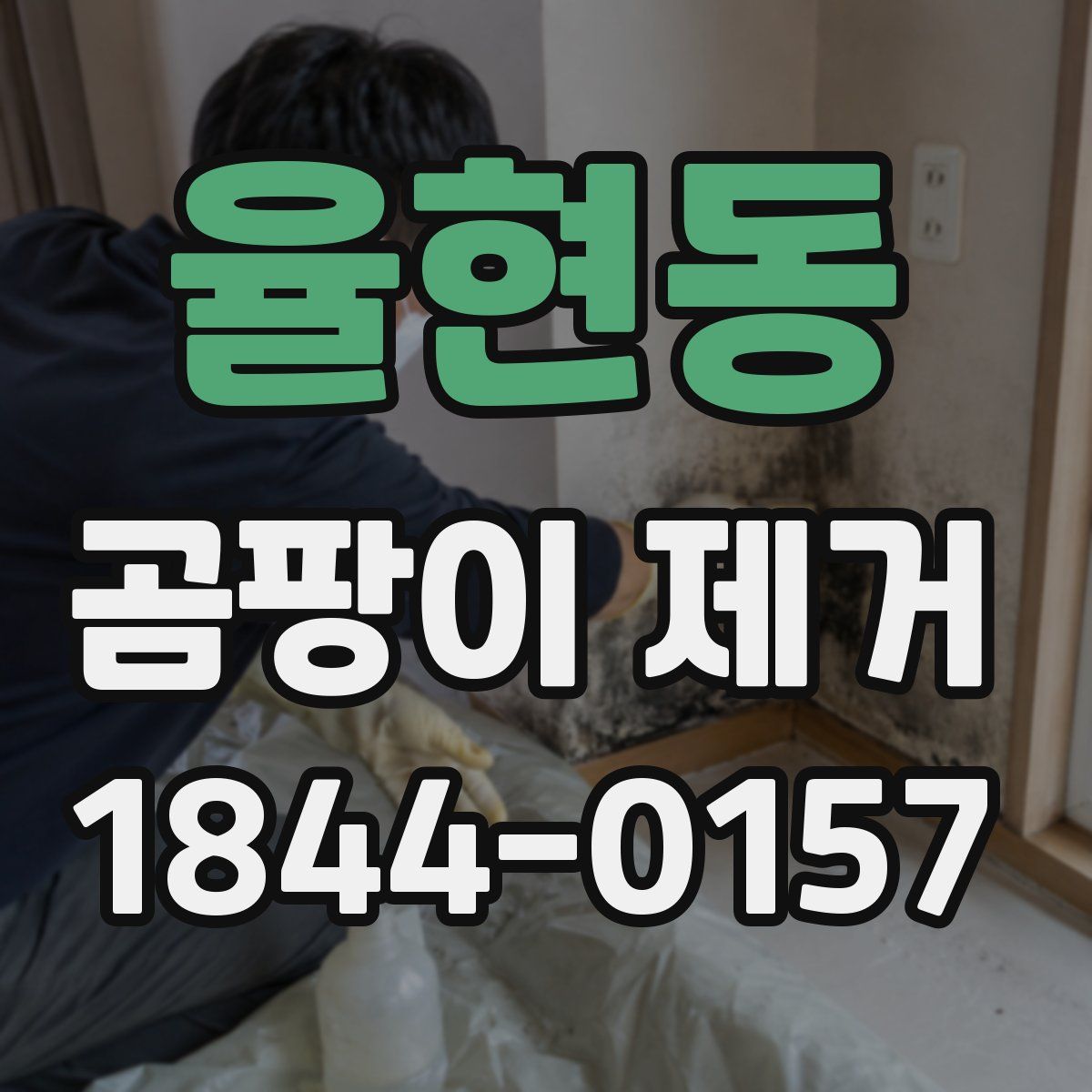 율현동 곰팡이 제거