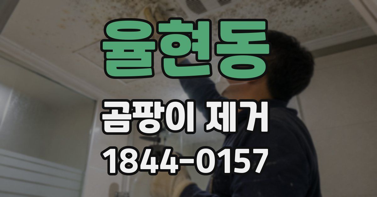 율현동 곰팡이 제거