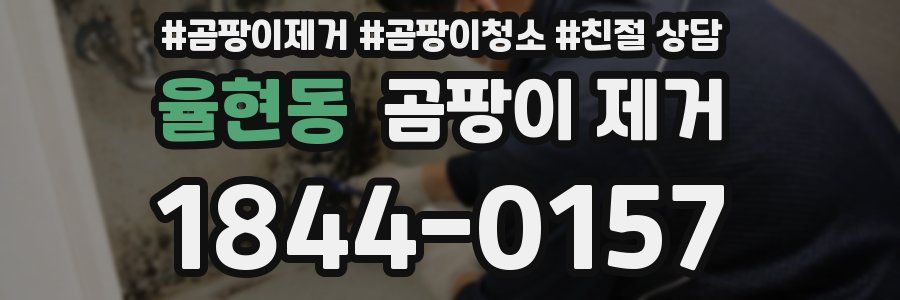 율현동 곰팡이 제거