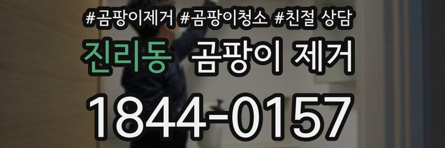 진리동 곰팡이 제거