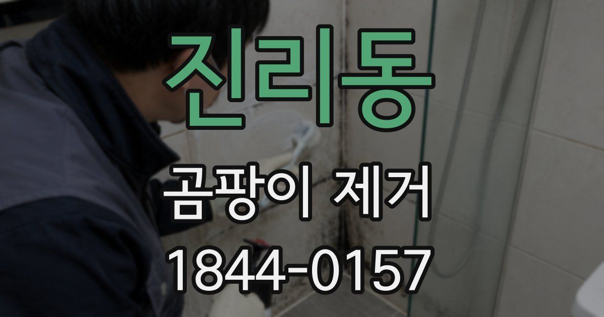 진리동 곰팡이 제거