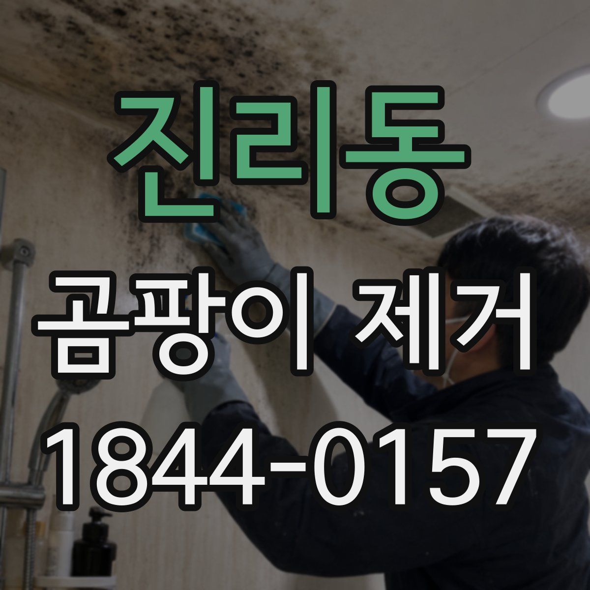 진리동 곰팡이 제거