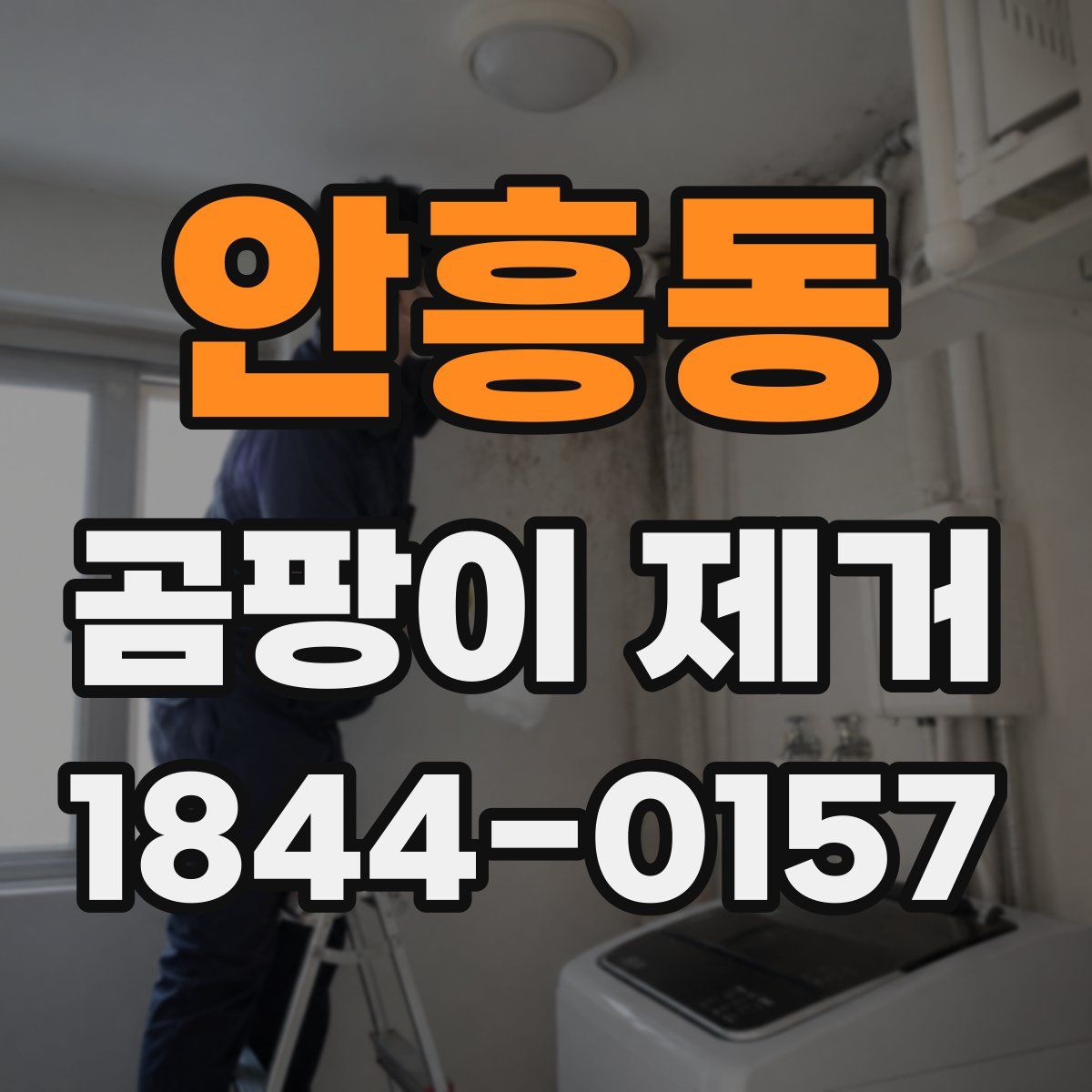 안흥동 곰팡이 제거