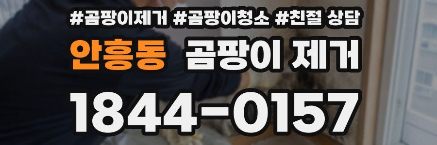 안흥동 곰팡이 제거