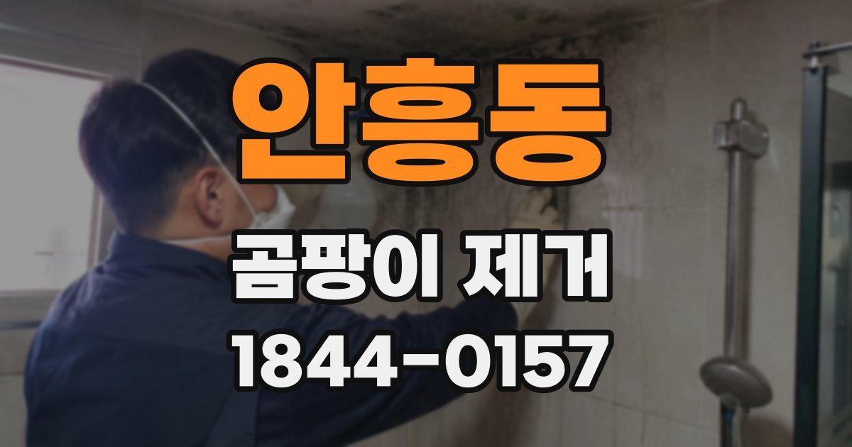 안흥동 곰팡이 제거