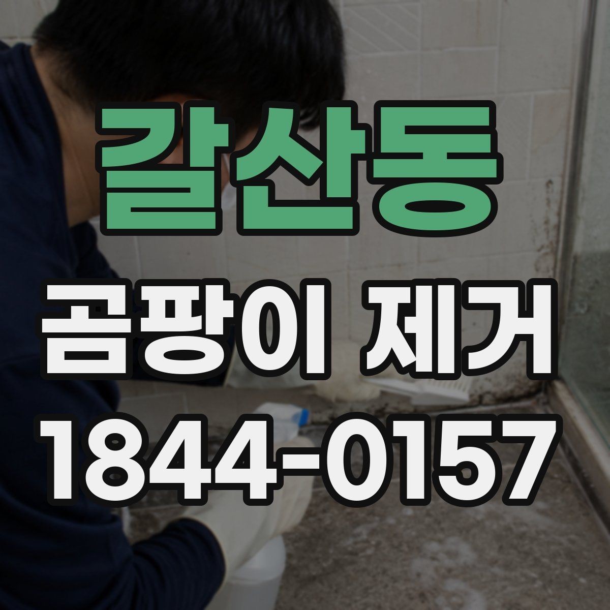 갈산동 곰팡이 제거 반지하 공간에서 자주 발생하는 조건