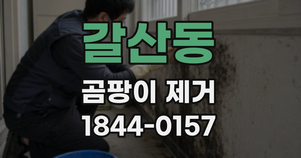 갈산동 곰팡이 제거