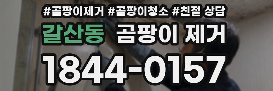 갈산동 곰팡이 제거