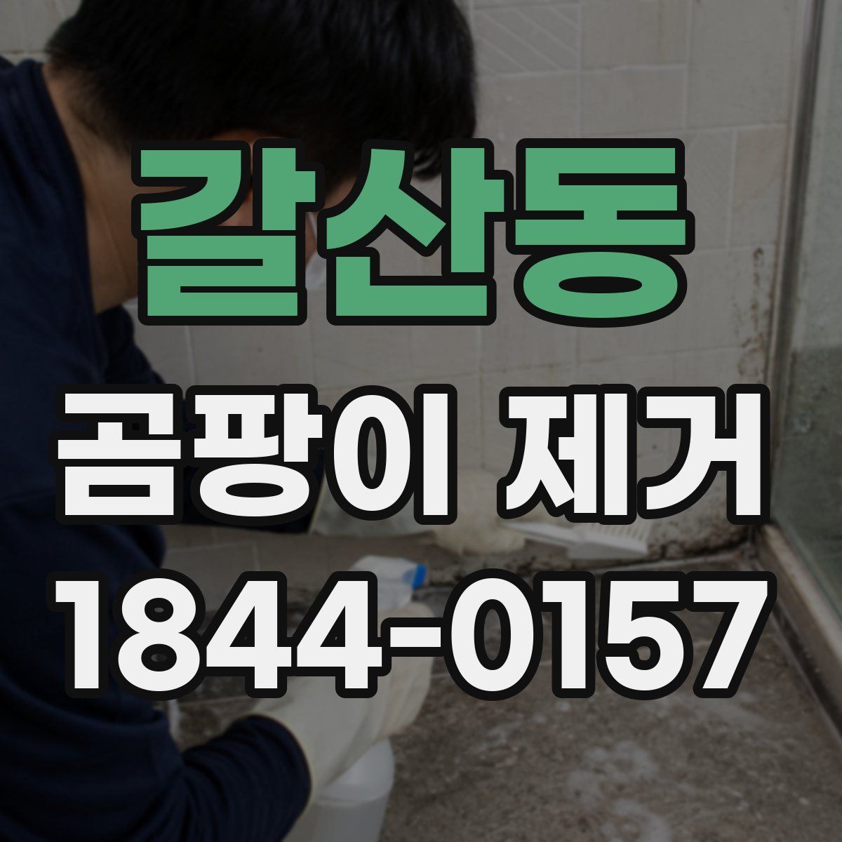 갈산동 곰팡이 제거