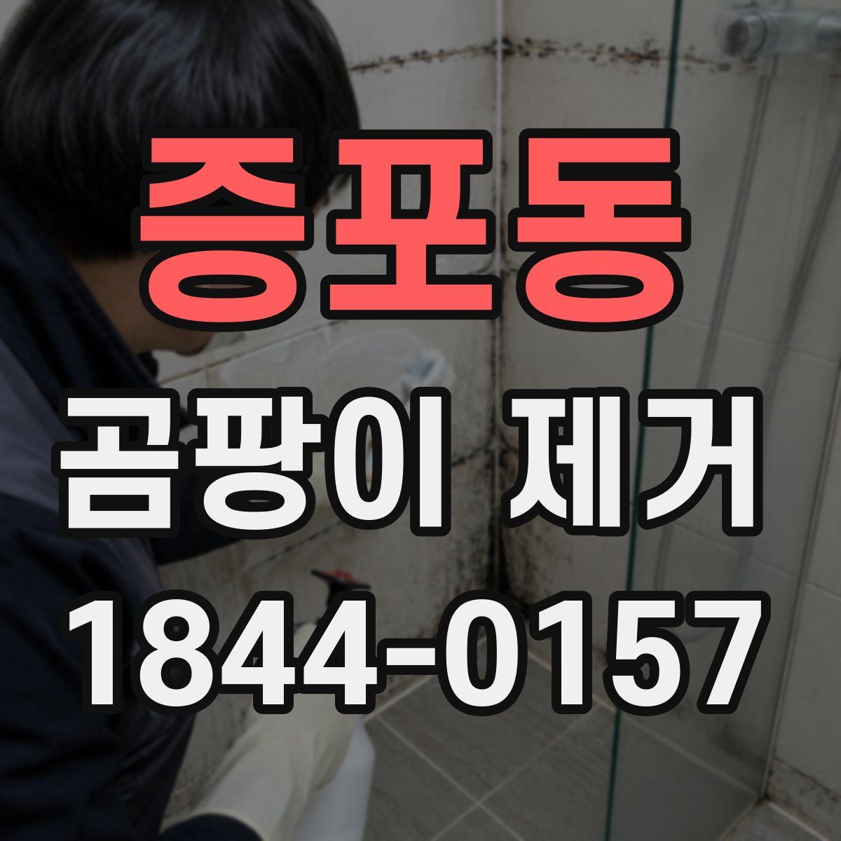 증포동 곰팡이 제거