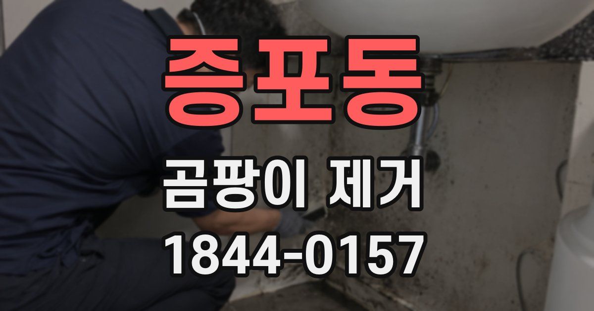 증포동 곰팡이 제거
