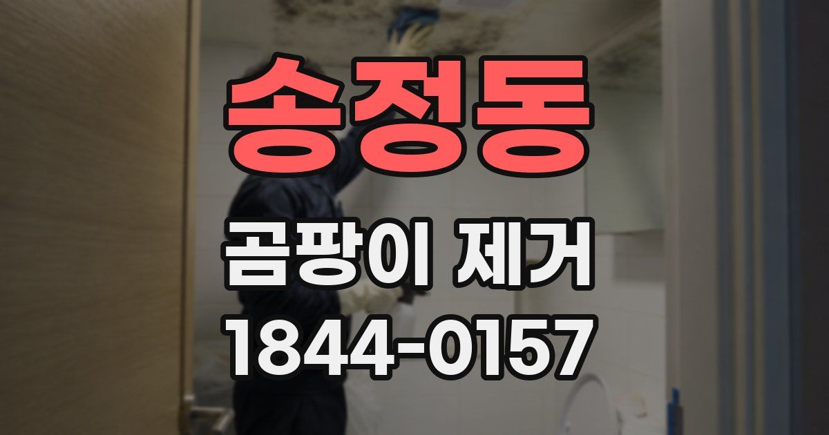 송정동 곰팡이 제거