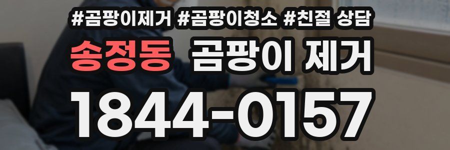 송정동 곰팡이 제거