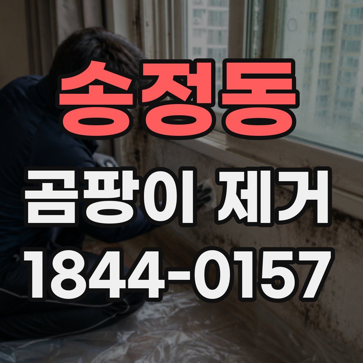 송정동 곰팡이 제거