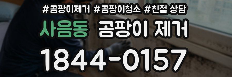 사음동 곰팡이 제거