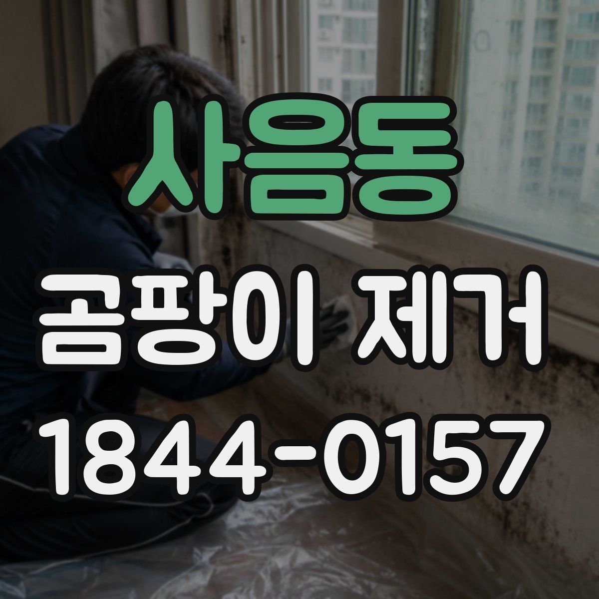 사음동 곰팡이 제거