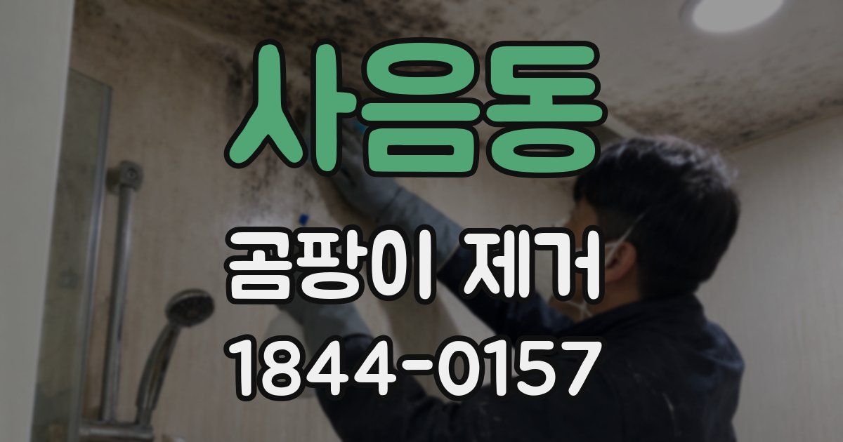 사음동 곰팡이 제거