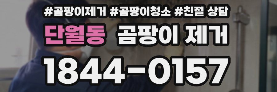 단월동 곰팡이 제거