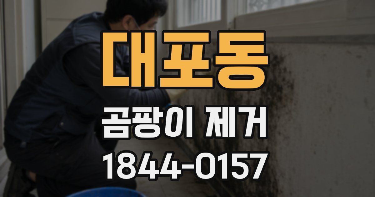 대포동 곰팡이 제거