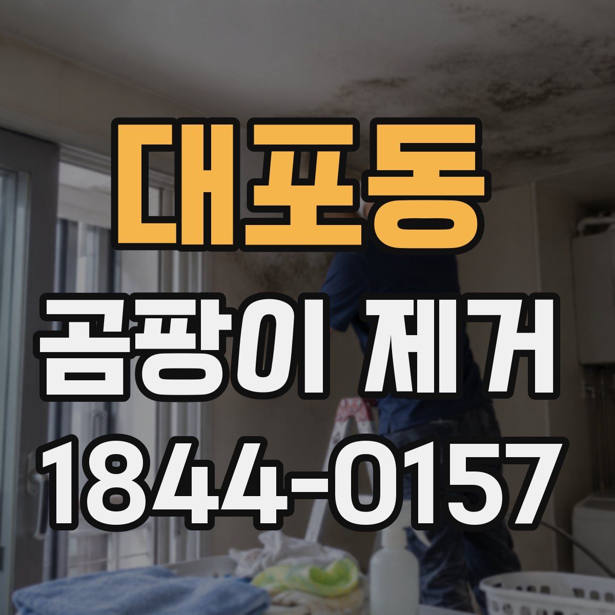 대포동 곰팡이 제거