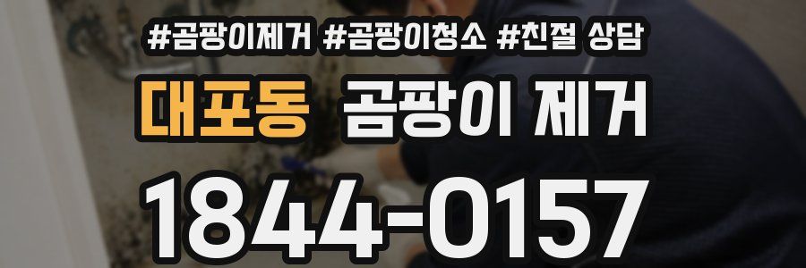 대포동 곰팡이 제거