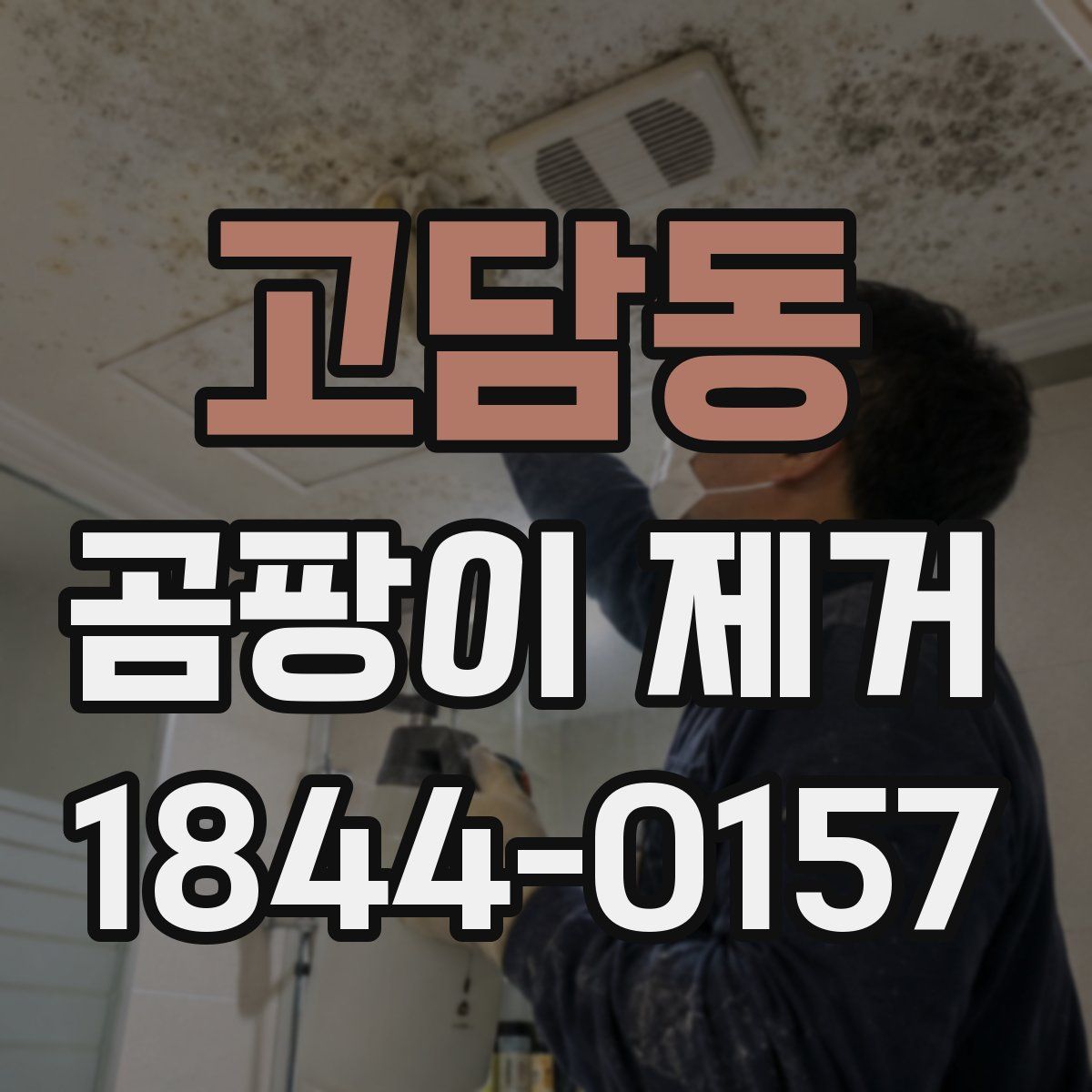 고담동 곰팡이 제거