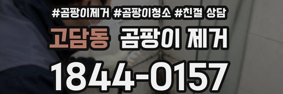 고담동 곰팡이 제거
