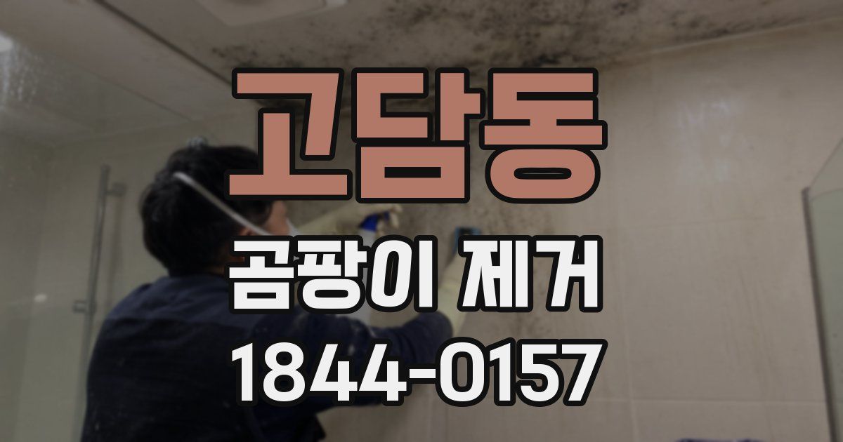 고담동 곰팡이 제거