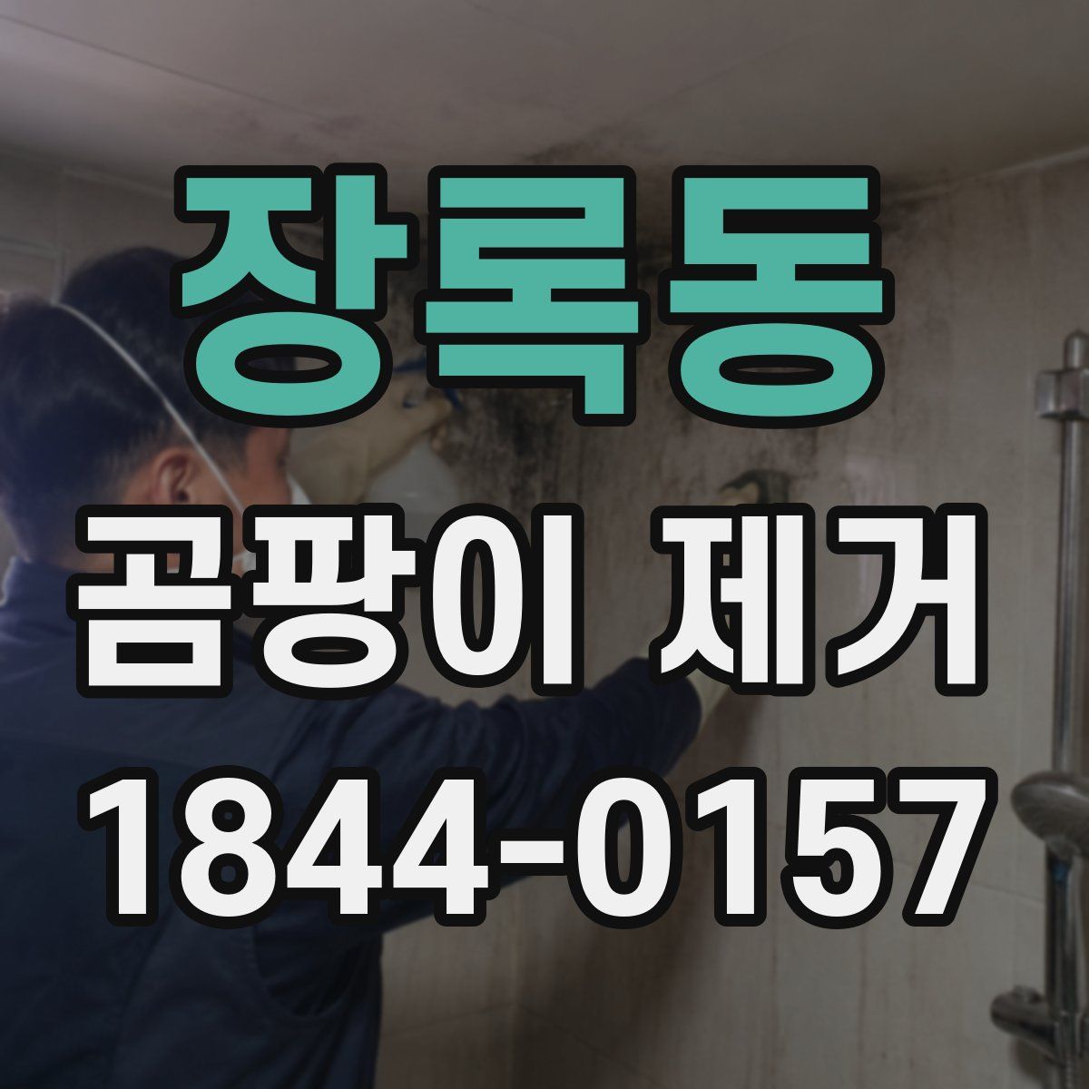 장록동 곰팡이 제거