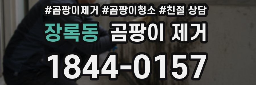 장록동 곰팡이 제거
