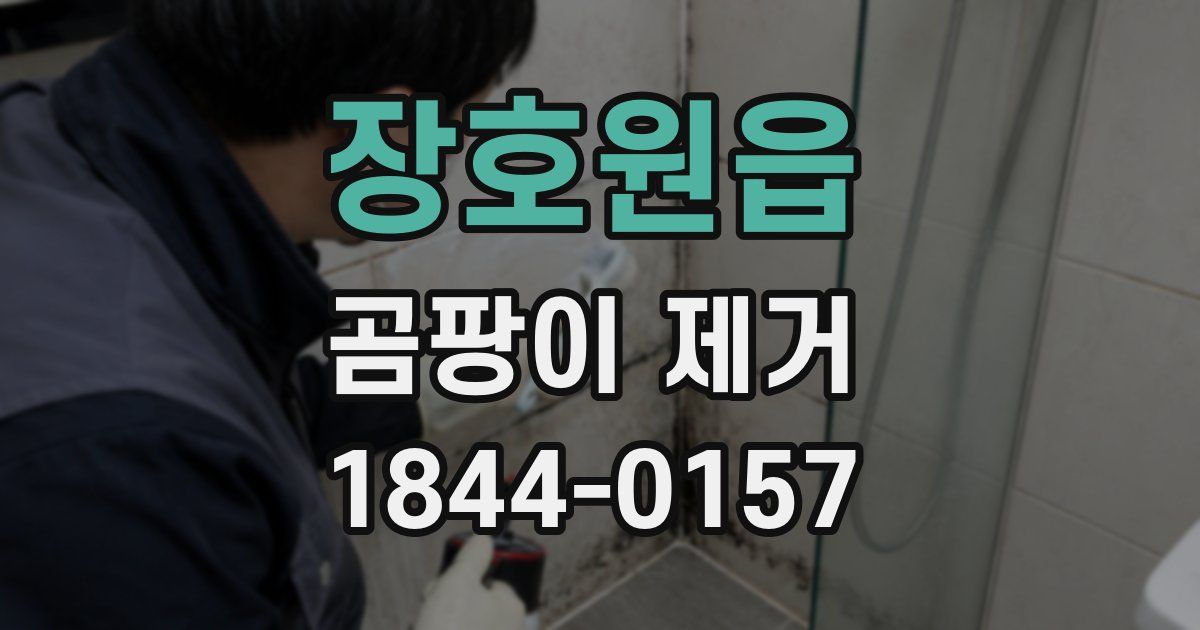 장호원읍 곰팡이 제거