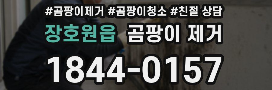 장호원읍 곰팡이 제거
