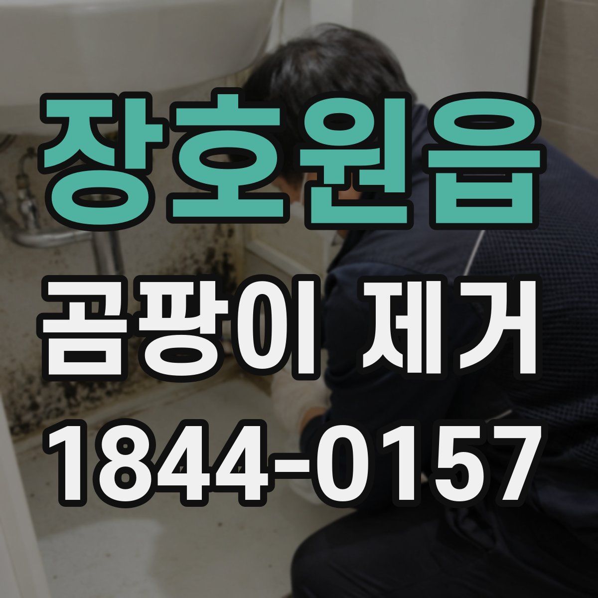 장호원읍 곰팡이 제거