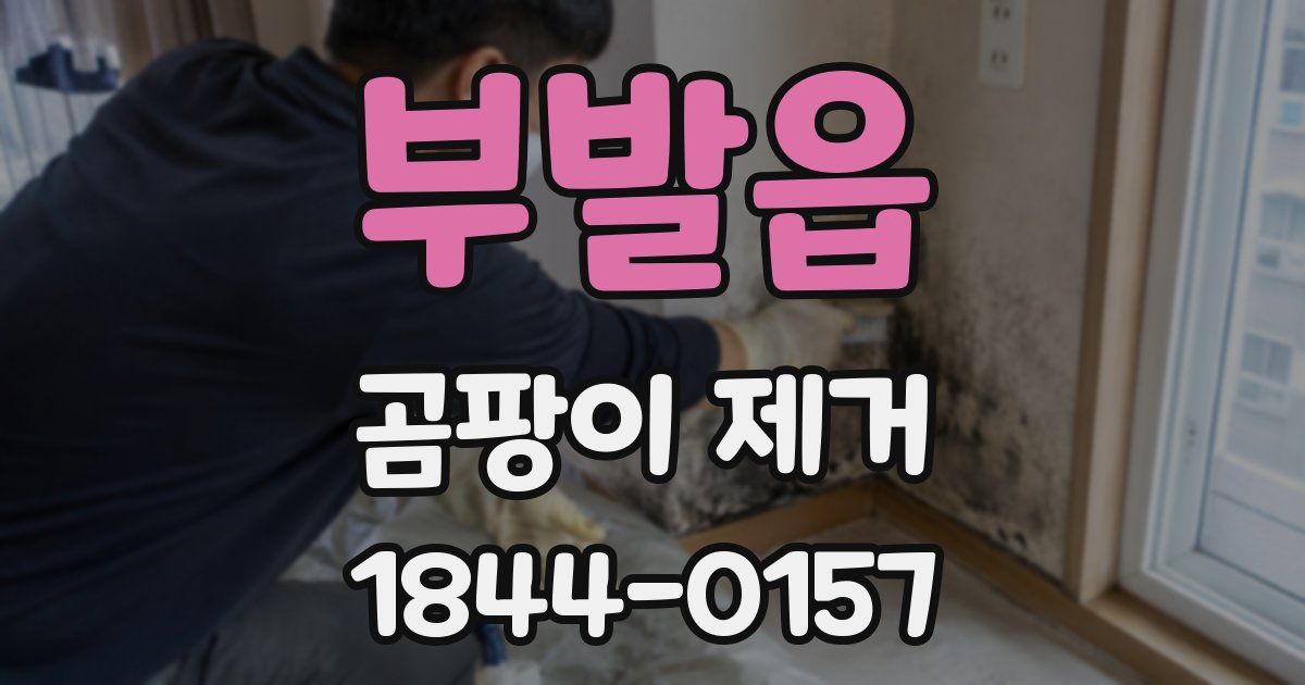 부발읍 곰팡이 제거