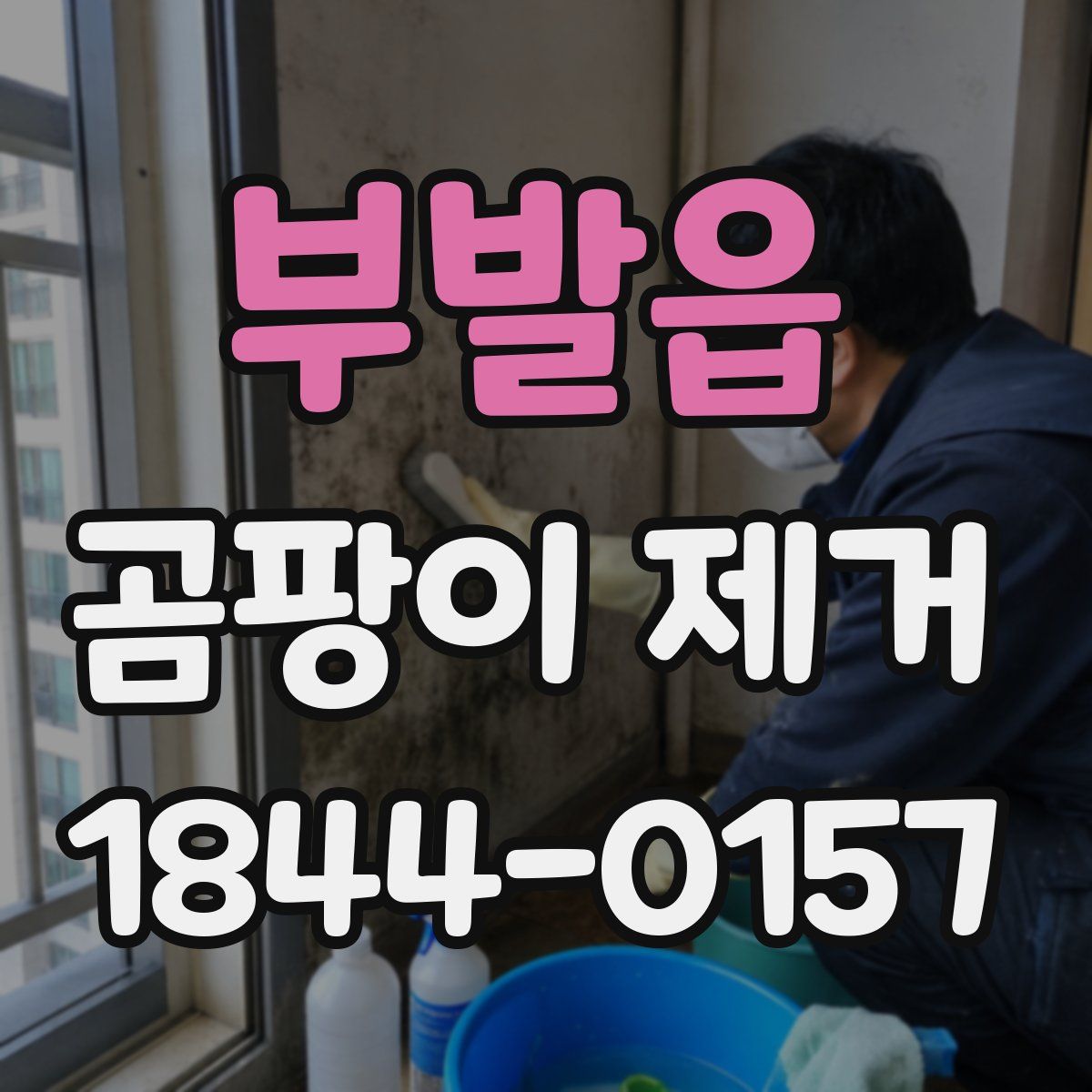 부발읍 곰팡이 제거