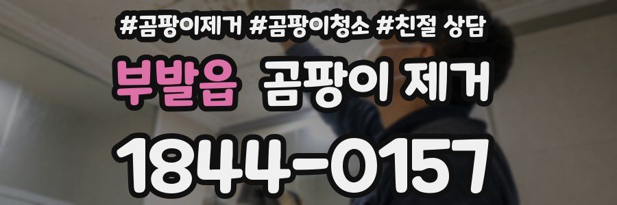부발읍 곰팡이 제거