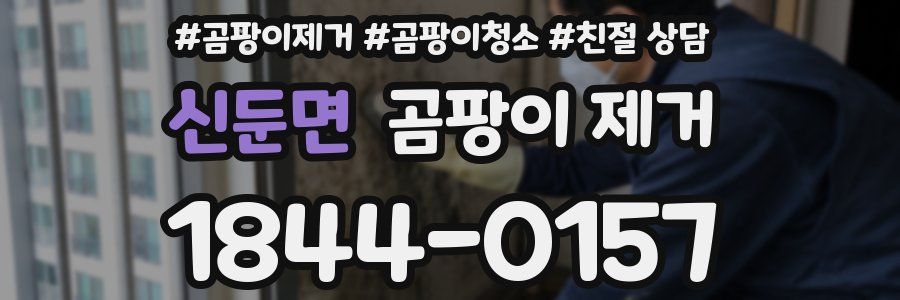 신둔면 곰팡이 제거