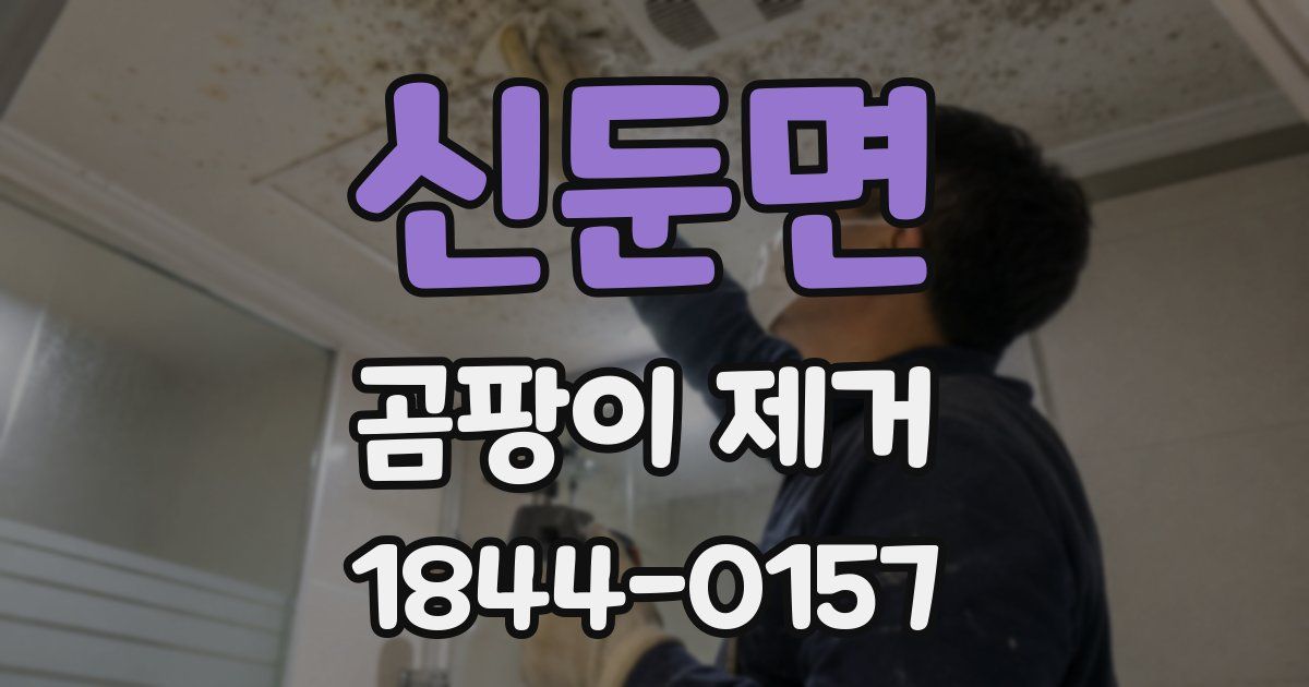 신둔면 곰팡이 제거