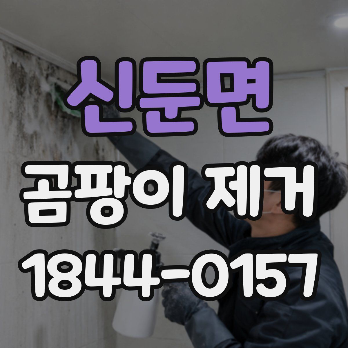 신둔면 곰팡이 제거