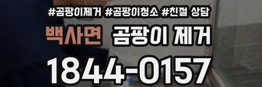 백사면 곰팡이 제거