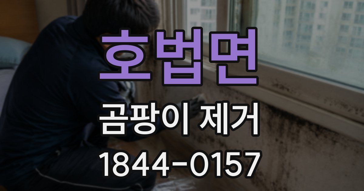 호법면 곰팡이 제거
