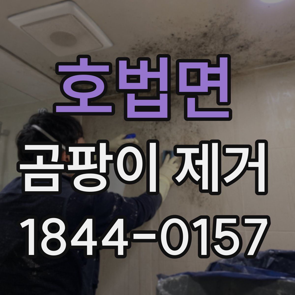 호법면 곰팡이 제거