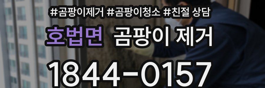호법면 곰팡이 제거