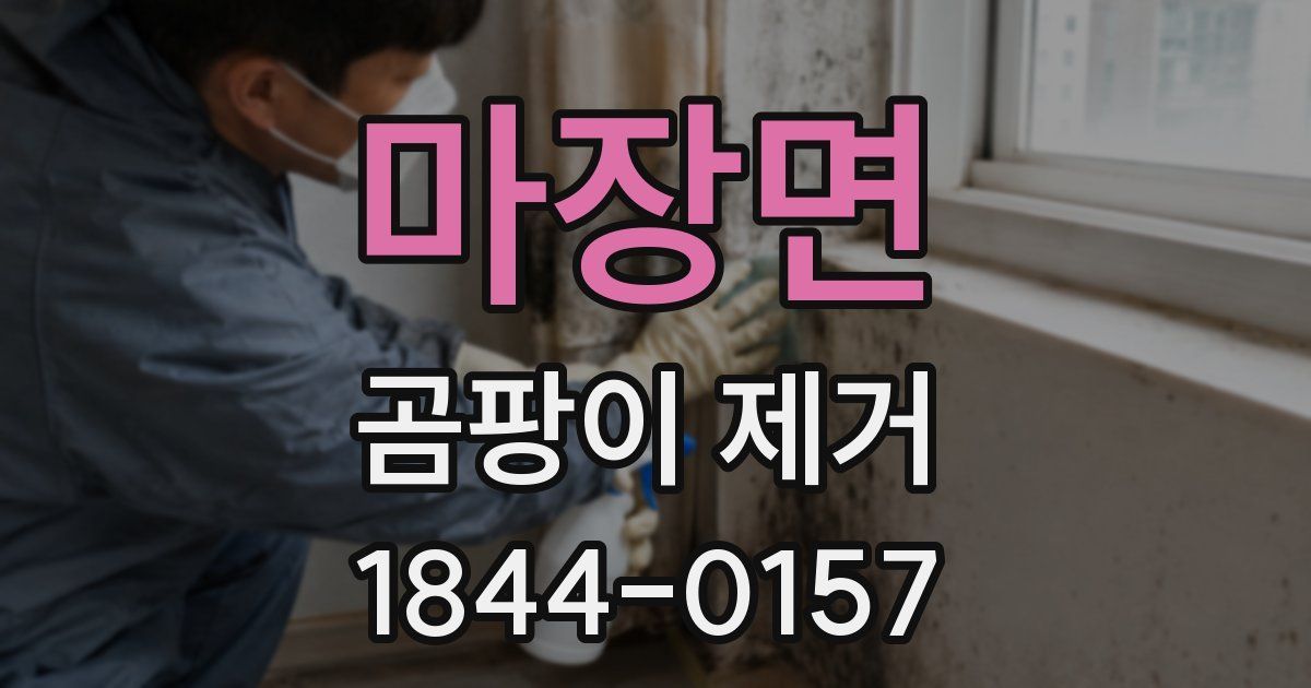 마장면 곰팡이 제거