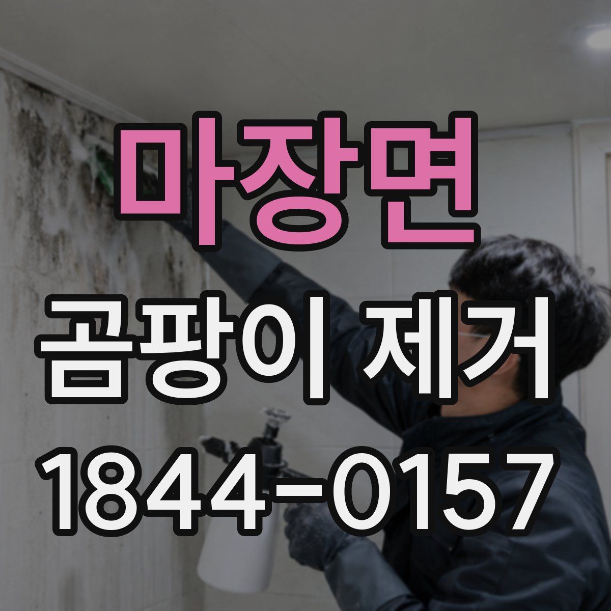마장면 곰팡이 제거