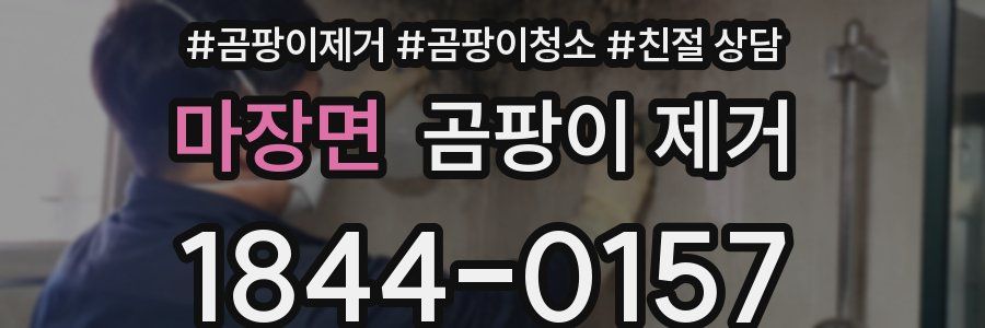 마장면 곰팡이 제거