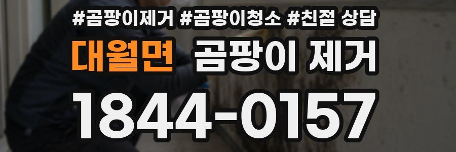 대월면 곰팡이 제거