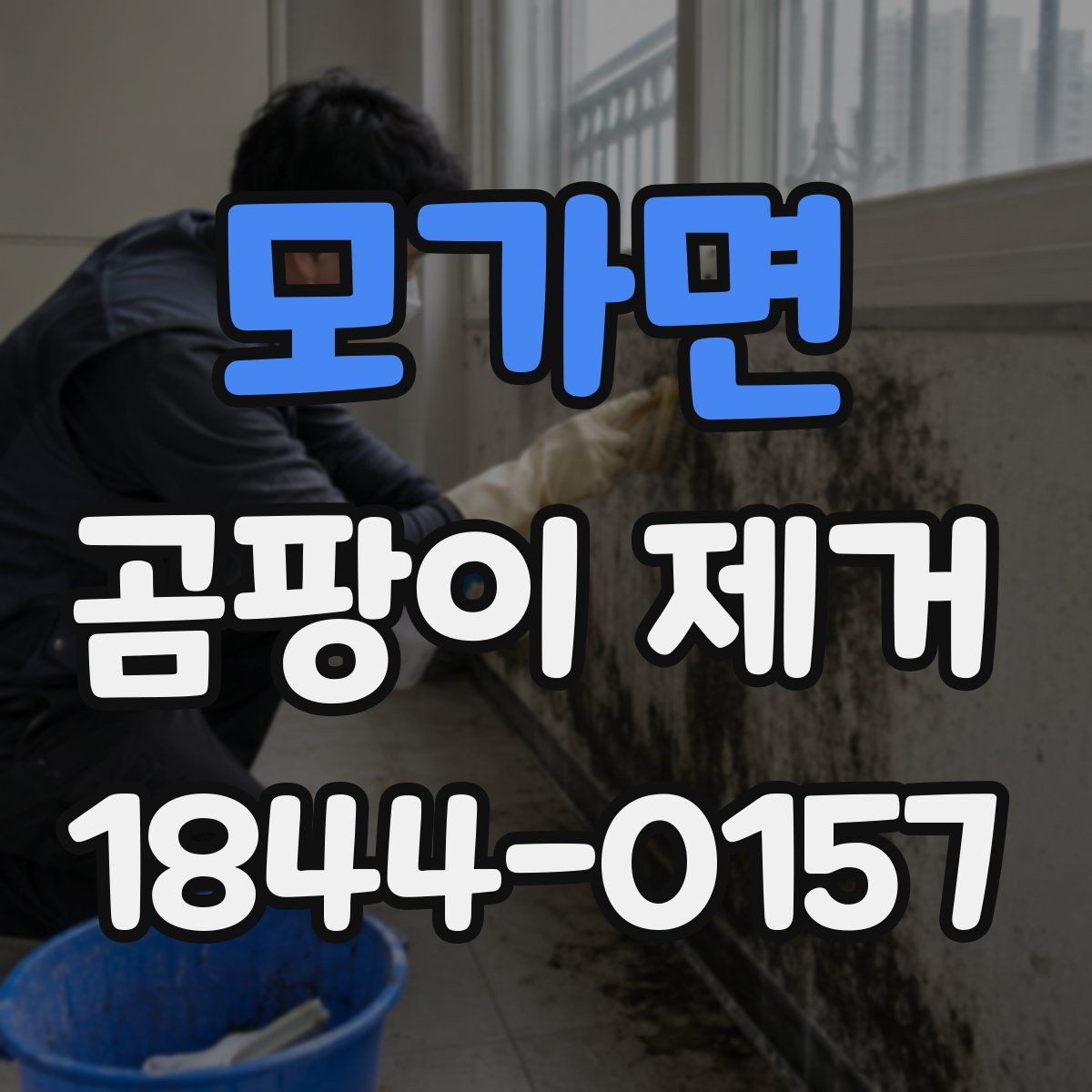모가면 곰팡이 제거