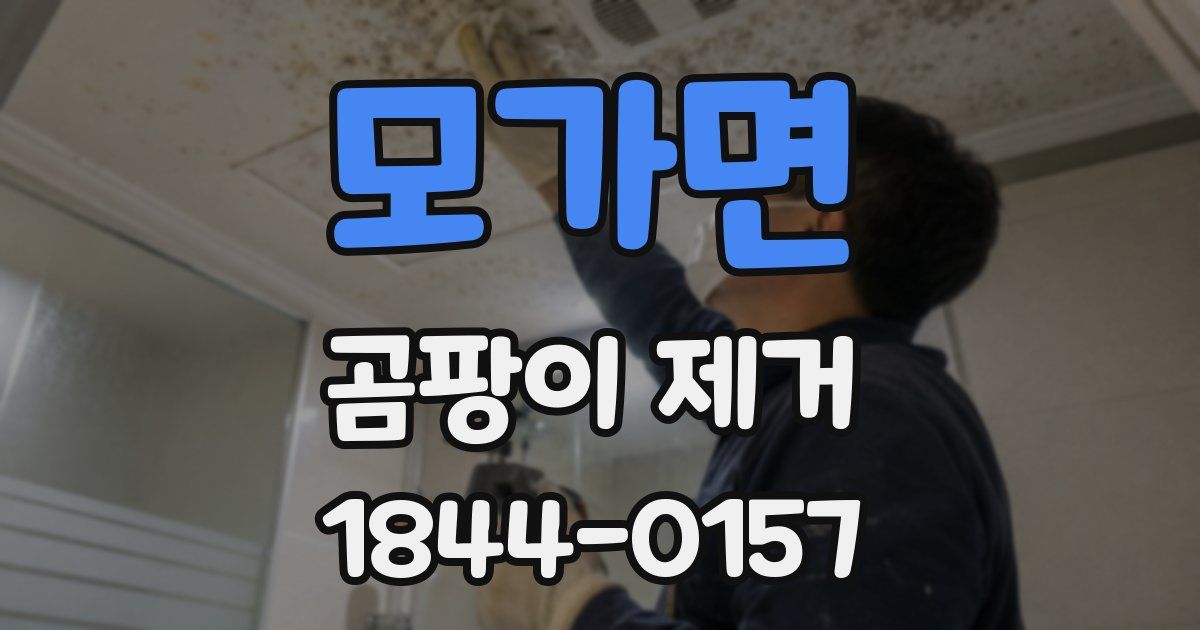 모가면 곰팡이 제거